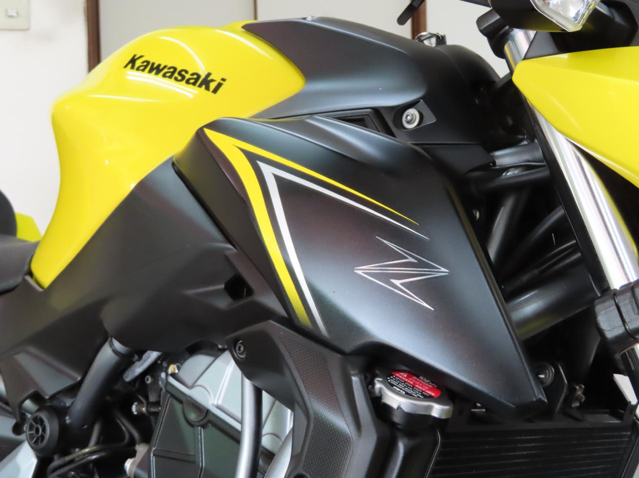 Z650